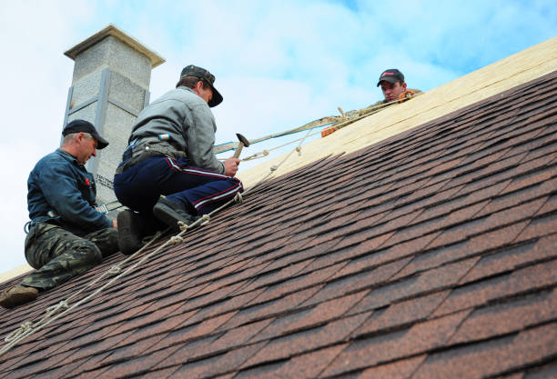 Best Gutter Installation and Roofing  in Weston, NJ